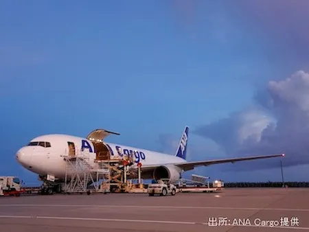 福岡空港からフライト